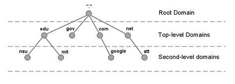 root domain vs top level domain|what is a root domain.